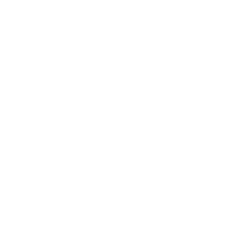 Cell Phone